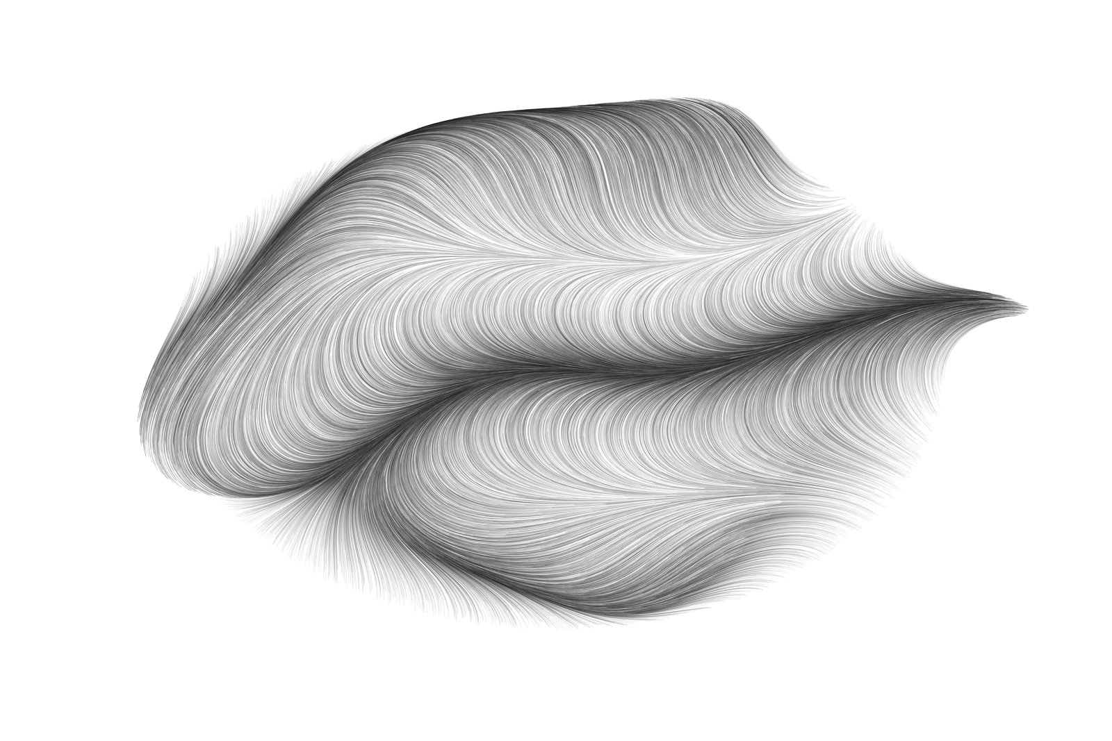 Flow field